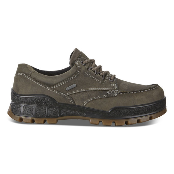 ECCO Track 25 Men's Hiking Shoe